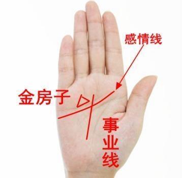 感情线上三角纹金房子代表什么