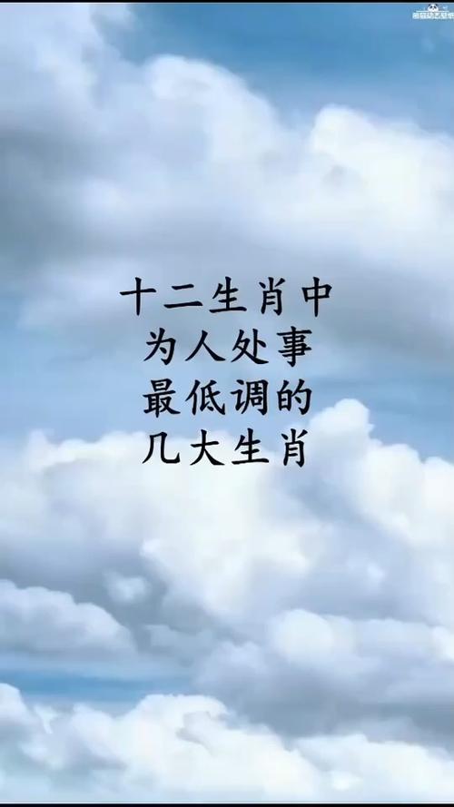 为人想低调,但总引人注意的生肖