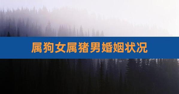 男猪女狗女旺夫吗,婚姻中有哪些注意事项