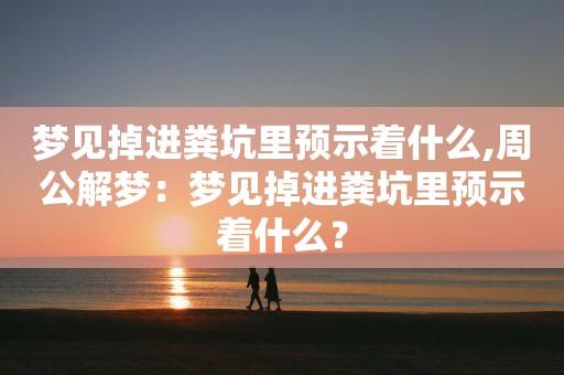 梦见掉粪坑里预示什么,做梦掉粪坑什么征兆