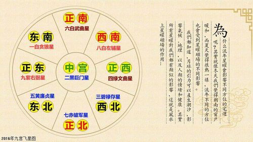 辛金生于辰月如何取用神