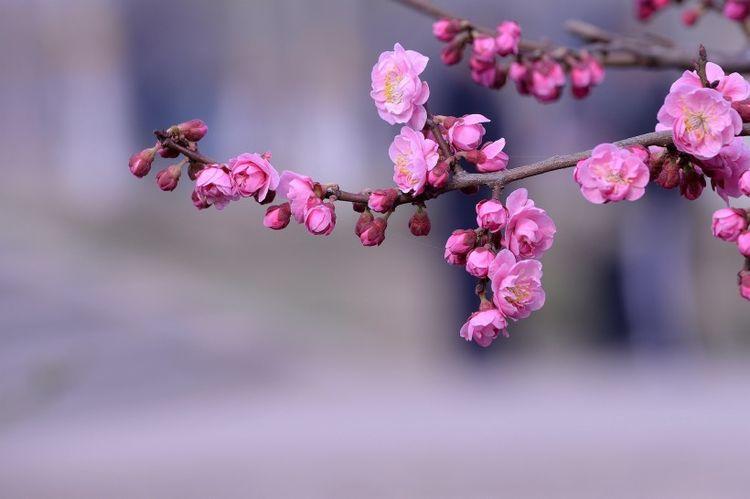 6月份缘分与桃花终于有结果