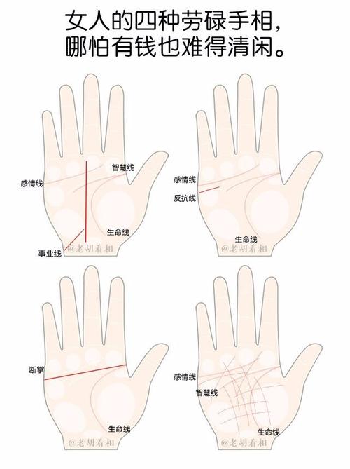 怎样区分反抗线和双智慧线