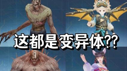 什么是变易