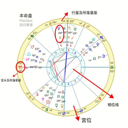 星盘第十宫没有行星落入代表什么各行星第十宫含义