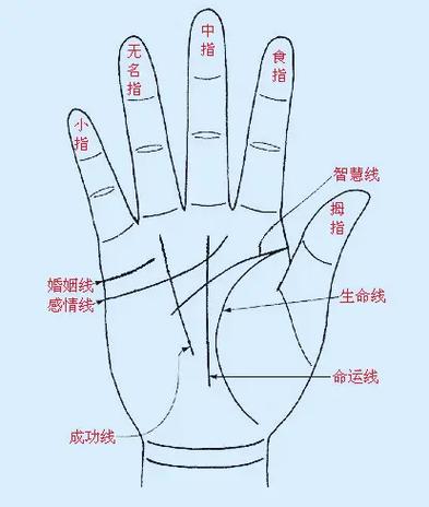 手相和面相看谁和你最配