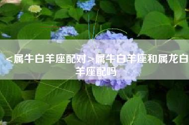 属牛白羊座和属龙白羊座配吗