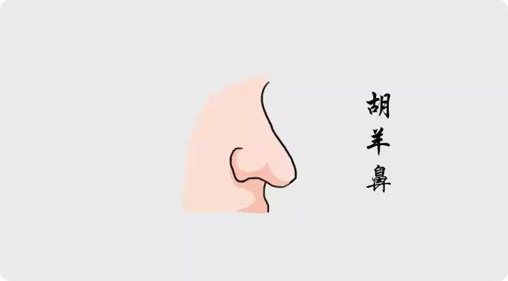 拥有这几种鼻相的人,必定超凡脱俗人中龙凤