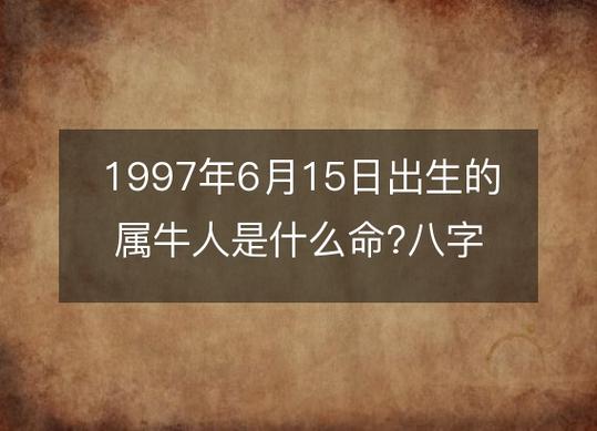 1997年属牛人什么命