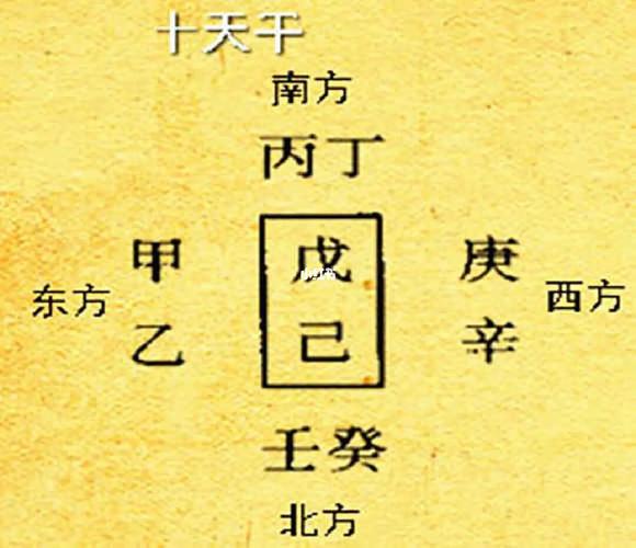 十天干辛金详解