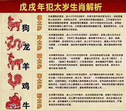 1991年属羊2021年冲太岁要注意什么