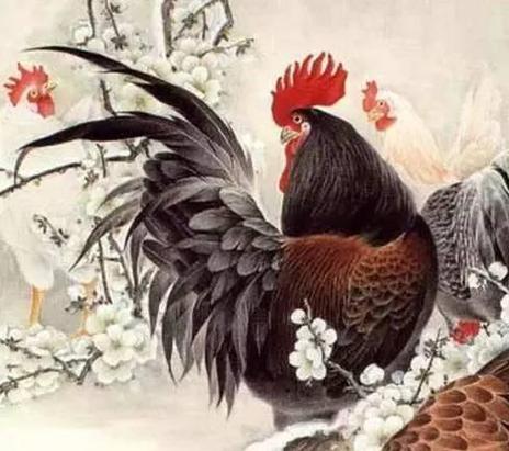 69年属鸡人灾难