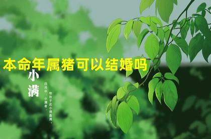 属猪在本命年可以结婚吗