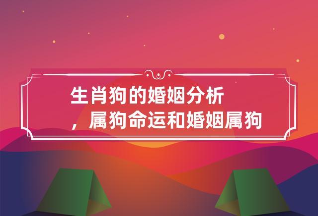 属狗婚姻状况如何