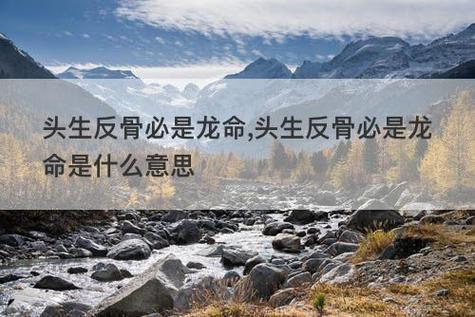 头生反骨必成大器