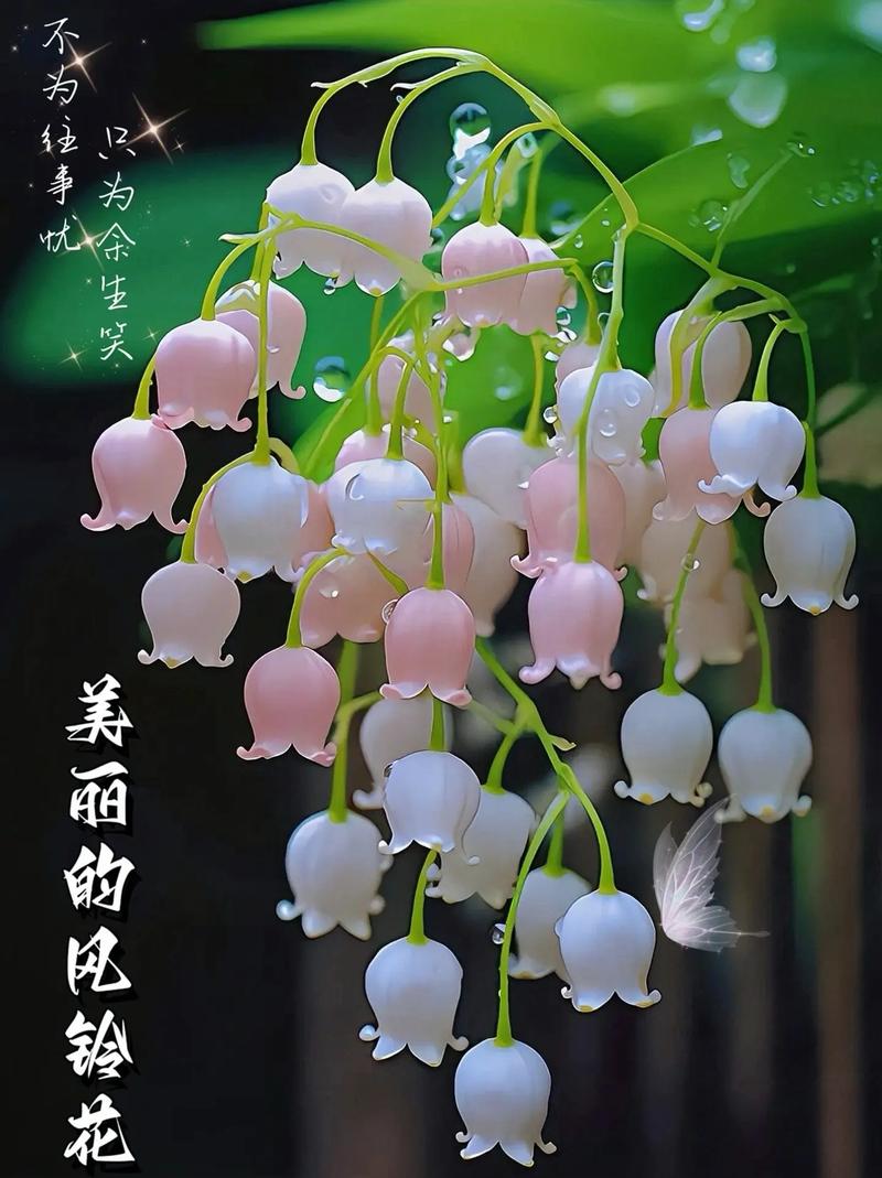 铃兰塔罗:最近你的压力指数是多少?