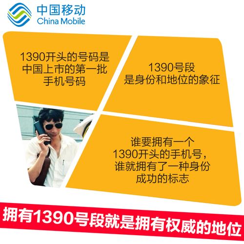 豹子号的风水寓意