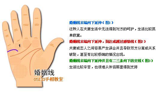 两条感情线所代表的意义