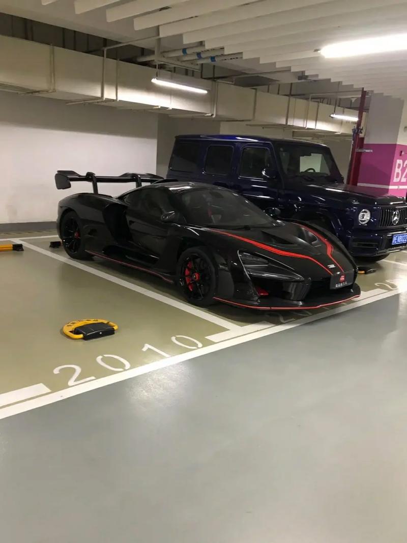 有车有豪宅富豪生肖
