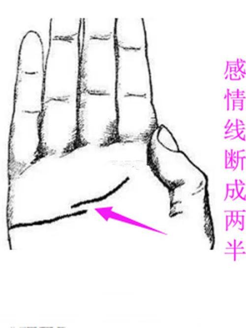 感情线断开一上一下