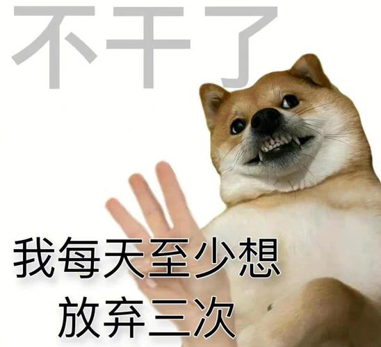 专注于工作,忙起来废寝忘食的生肖