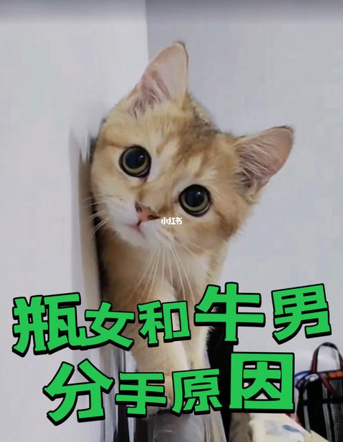 耐心有限,这些视冷战即分手的生肖男