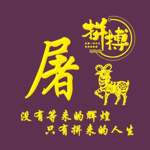 再累也会拼搏到底的生肖