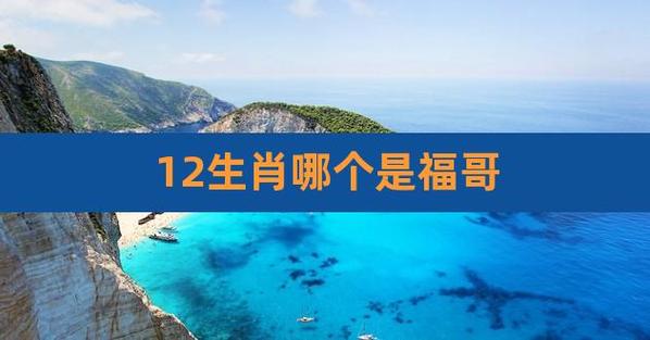 夏天是这些生肖的福季