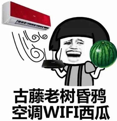夏天没有空调活不下去的生肖