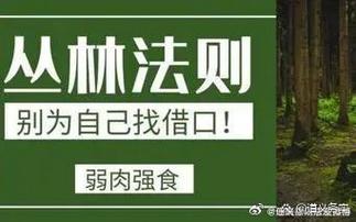 易经杂谈:物无美恶,过则为灾