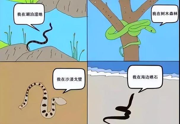 梦见蛇过河