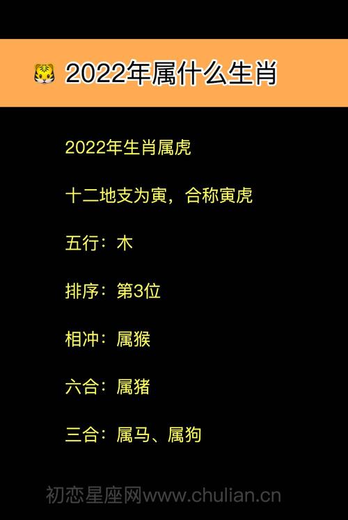 属鼠与属虎的相克吗