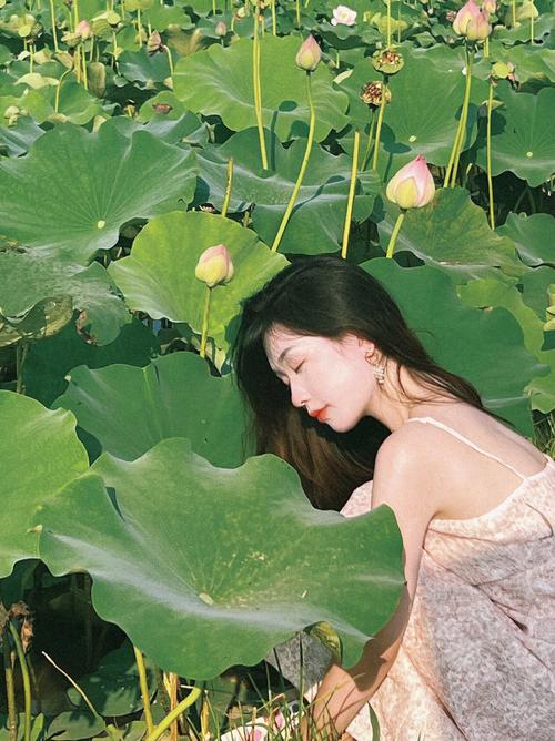 女人是荷花命是什么意思