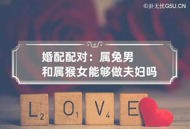 属兔男与属猴女婚配合适吗