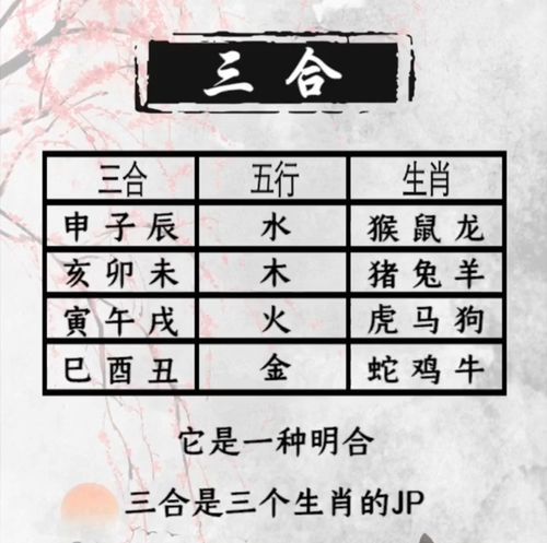 十二生肖相合相克表