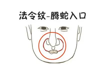 腾蛇入口是笑还是不笑面相分析