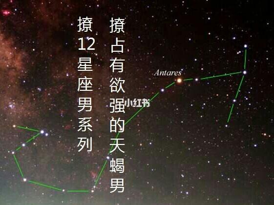 轻松撩到天蝎男的星座