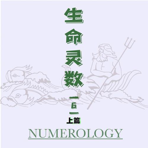 生命灵数看什么最重要