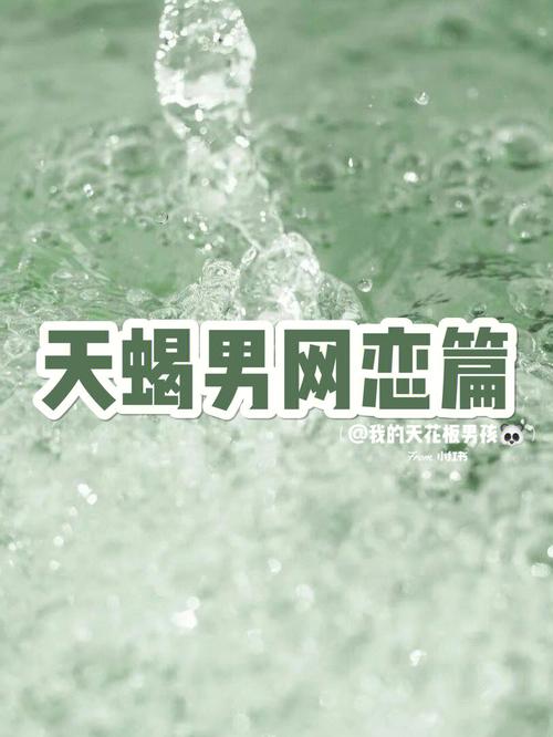 天蝎男的网恋成功指数