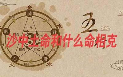 壁上土命和沙中土相克吗