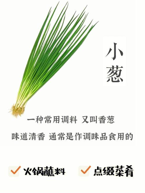 葱和蒜啥意思