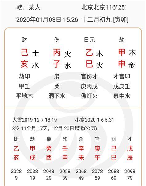 己亥年是哪一年，己亥年生平地木命