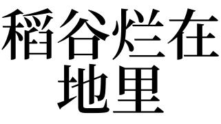 梦见稻谷烂在地里
