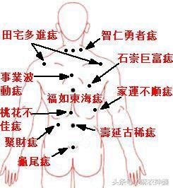 痣说人生:背部痣的位置与命运图