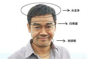 男人扫帚眉代表什么