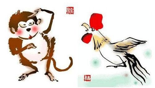 属猴的人和属鸡的人合得来吗?属鸡最适合住哪个楼层?