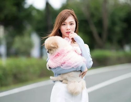天生狐狸精的生肖女