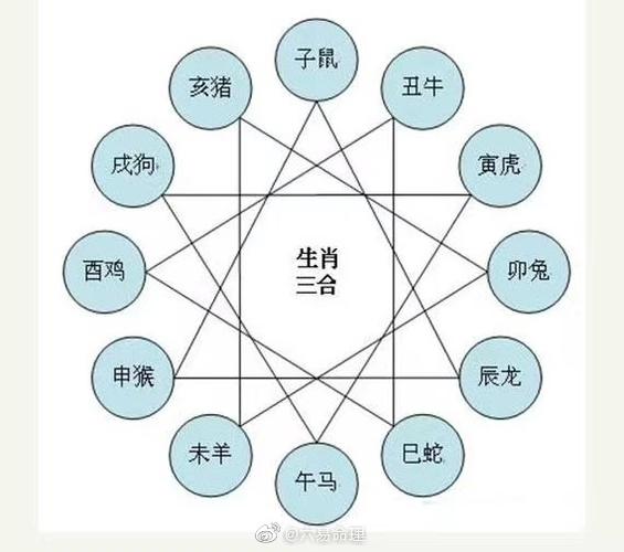 十二生肖和什么属相不合