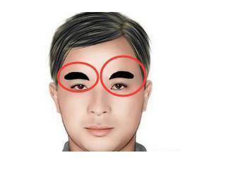 男人发财眉 狮子眉的男人一生富贵
