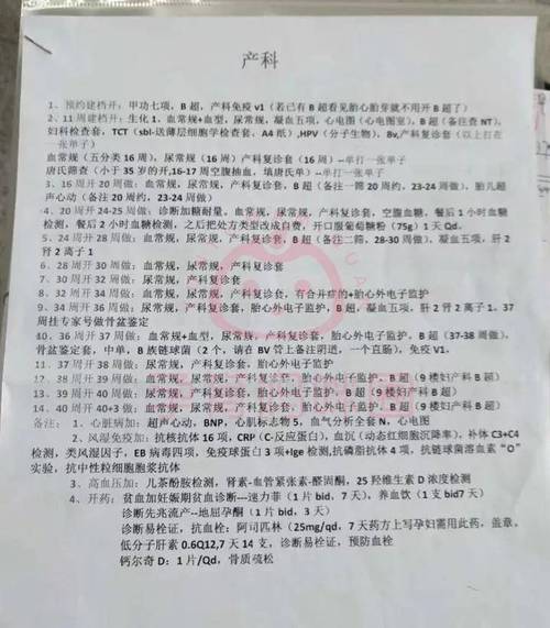 血型检查多少钱